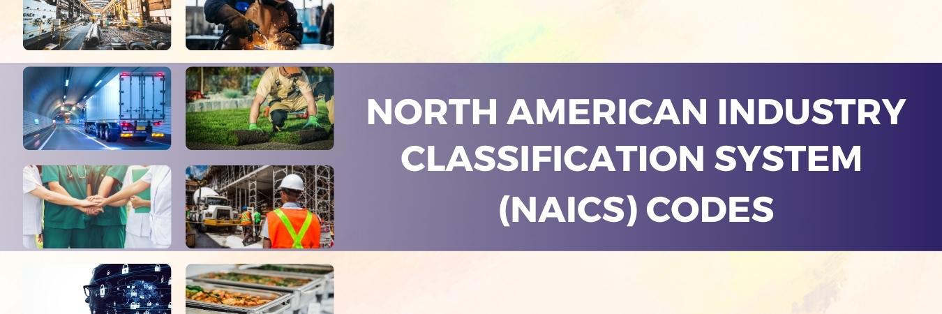 NAICS Header Image